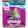 Whiskas_Racao_Lata_Pate_Atum_290g Whiskas_Racao_Lata_Pate_Atum_290g