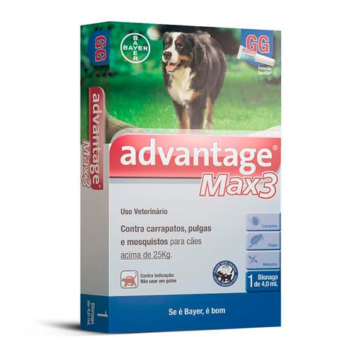 Principal- Principal-