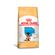 Royal-Canin-Pastor-Alemao-Filhote